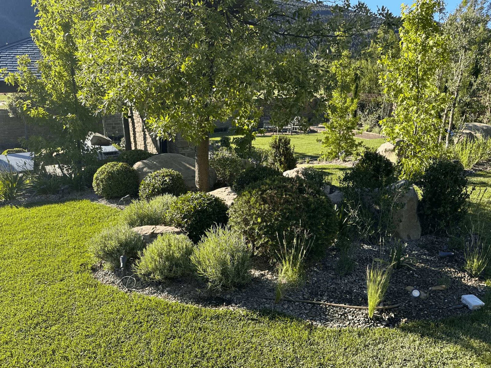 Parterre Bolas y Olivo