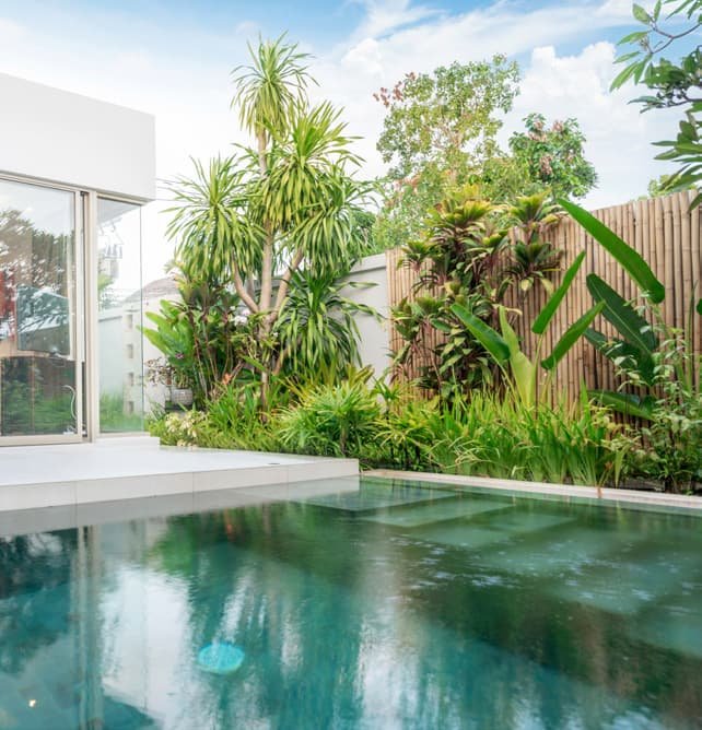 tropical piscina